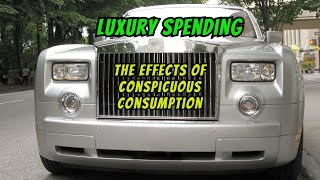 Conspicuous Consumption Unpacking Its Social Economic and Environmental Implications [upl. by Ainesy391]