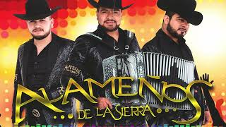 Los Alameños De La Sierra  Popurri Cumbias Mix  Huapangos Pa Bailar  Cumbias MIX [upl. by Aihppa]