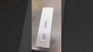 JOYSBIO SARSCOV2 Antigen Rapid Test Kit  Field Video from EU User [upl. by Naig396]