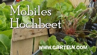 Mini Hochbeet im Einkaufswagen [upl. by Whiting]