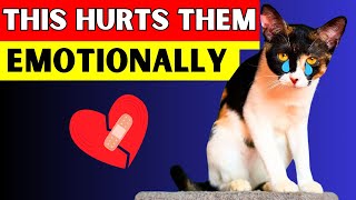 Things That EMOTIONALLY HURT Your Cat Avoid at All Costs [upl. by Caylor695]