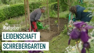 So gelingt der Gemüseanbau  Kleiner Schrebergarten – große Freiheit 15  die Ratgeber [upl. by Evander179]