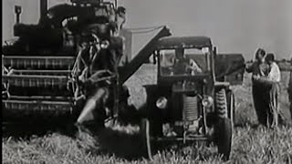 Zemědělství 1955 Československý Filmový týdeník [upl. by Ahcsas]