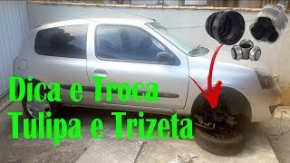 Troca da Trizeta e Tulipa  Video TOP  ft Alex Alves [upl. by Philoo]