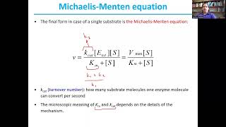 Enzyme KineticsBiochemistry I16 [upl. by Eintrok]