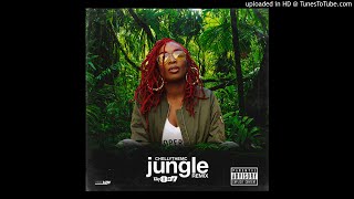 Chelly The MC  Jungle Remix [upl. by Yajnas]