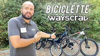 Wayscral le biciclette marchiate Norauto [upl. by Mallen]