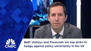 BNP Utilities and Financials are top picks to hedge against policy uncertainty in the US [upl. by Claiborne814]