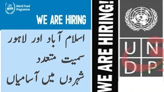 World Food Programme Jobs in Pakistan  UNDP Pakistan jobs 2023  WFP jobs 2023  UN Jobs [upl. by Drucy]