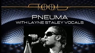 Layne Staley vocals quotPnuemaquot Tool [upl. by Lerad]