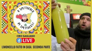 Limoncello fatto in casa seconda parte [upl. by Oilcareh574]