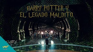 Harry Potter y el Legado Maldito  Resumen Parte 3 [upl. by Jamnes]