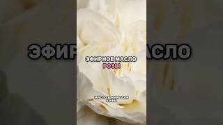 Эфирное масло розы🌹эфирныемасла shorts short [upl. by Ayekel]