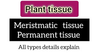 Plant tissue  meristmatic tissue  permanent tissue  all types details explain newlecture [upl. by Cuthbertson23]