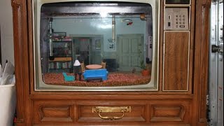 Seinfeld Fish Tank  Original Video [upl. by Rentsch150]