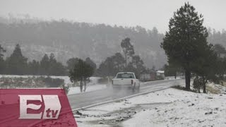 Cae nieve en el Ajusco y La Marquesa  Yuriria Sierra [upl. by Engvall]