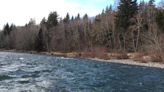 Floating the Bogachiel River Forks WA [upl. by Rostand]