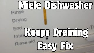 ✨ Miele Dishwasher  Keeps Draining  Easy DIY Fix ✨ [upl. by Notrab911]