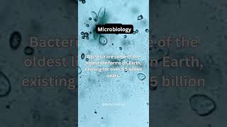 Science Fact  Microbiology  Science 18  shorts science facts microbiology viral [upl. by Yenttirb]