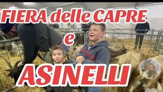 FIERA delle CAPRE e ASINELLI MASCALCIA AGRICOLA NAZIONALE Ardesio val Seriana BG [upl. by Fleda]