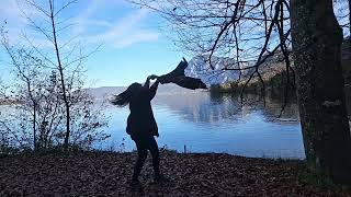 Attersee Austria Autumn 2024 [upl. by Chaffee]