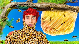 🔴Fabrico Miel con Peligrosas Abejas Salvajes que Atrapé🍯🐝 [upl. by Reamy627]