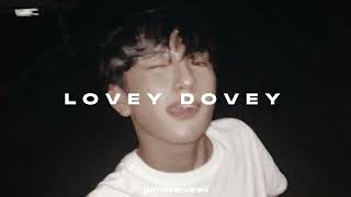 dream maker  lovey dovey  sped up  reverb [upl. by Eceirtal]