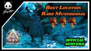 Best Location For Rare Mushrooms In Scorched  Earths Hundreds In Seconds  ARK Survival Ascended [upl. by Freytag]