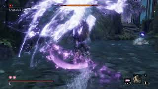 Sekiro Shichimen Warrior Fountainhead Palace No Damage Taken [upl. by Mohsen615]