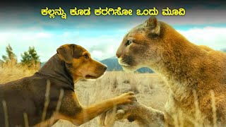 A Dogs way home movie explained in kannada  dubbed kannada movie story explained review [upl. by Enylhsa]