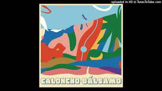 Caloncho  Brillo Mio Audio [upl. by Dinah]