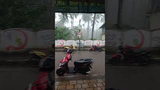 നല്ല മഴയാണ് തോട്ടു മുക്കത്ത് viralvideo [upl. by Nnylidnarb]