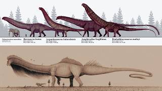 The Giant Mystery Amphicoelias fragillimus or Maraapunisaurus [upl. by Zimmer173]