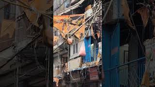 Monkey Play on wires at Sadar Bazar 😳 [upl. by Deelaw]