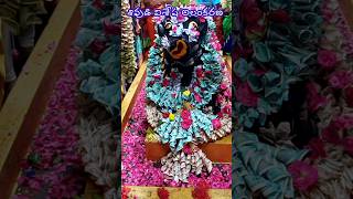 ఓం నమఃశివాయ 🙏devotional shivapuja lordshiva viswanathashtakam temple [upl. by Nossyla]