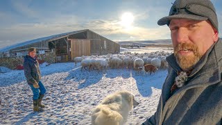 Day in the Life of a SOLO Female Rancher [upl. by Rorke]