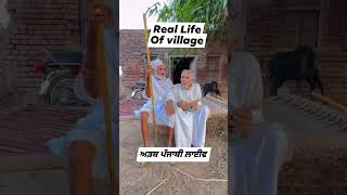 Village Punjab Yaad trendingshorts trending viralvideo viralshort songs reels shorts [upl. by Ailadi]