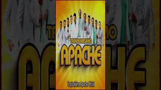 Tropicalisimo Apache Exitos 2024 💃 LAS CLASICAS DE LA CUMBIA 🎁 Clasicas Cumbias Para Bailar Mix🎵 [upl. by Eikcir]