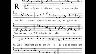 Rorate Caeli  Introit Fourth Sunday of Advent  Mode Imp4 [upl. by Diskson]