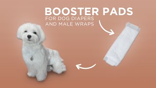 Disposable Booster Pads  Paw Inspired® Pad For Dog Diapers and Male Wraps [upl. by Annasus410]