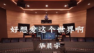 在百万豪装录音棚大声听 华晨宇《好想爱这个世界啊》【Hires】 [upl. by Naihs]