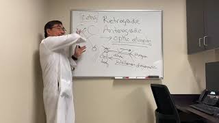 Retrograde and anterograde optic atrophy [upl. by Merete]