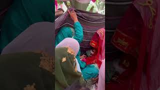 Gao Ki shadi ♥️ nikahceremony cousinkishadi viralvideo [upl. by Chally]