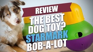 The Best Dog Toy Starmark BobALot Review [upl. by Eilsek696]