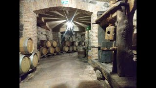 Visiting the winery of Cantine Antonio Caggiano Taurasi Italy [upl. by Eirrab]