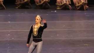 Sergei Polunin  La Bayadere 21102013 [upl. by Amora693]