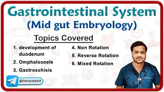 Embryology of Gastrointestinal system  DEVELOPMENT OF DUODENUM OMPHALOCOELE GASTROSCHISIS Part 3 [upl. by Nicolella]