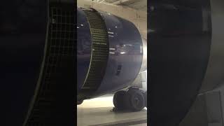 757 Thrust reverser deploy [upl. by Nepets]