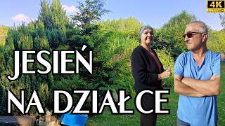 44 Jesień na działce na wsi garden ogród wieś [upl. by Kalvin]