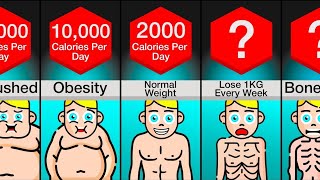 Comparison Your Body At  Calories Per Day [upl. by Ahsi]